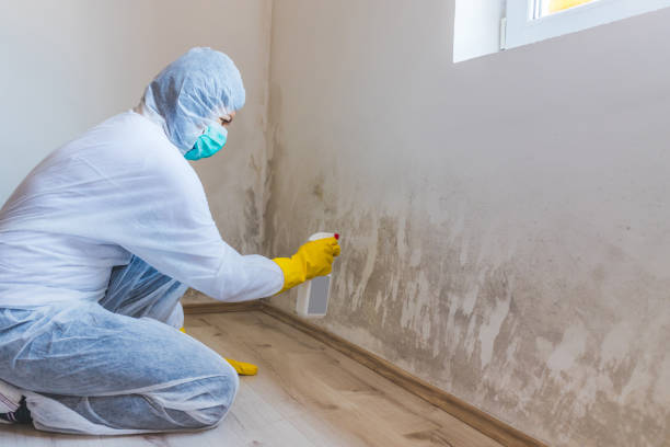 Mold Remediation specialist working in Fremont