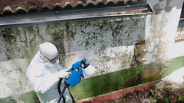 Mold Remediation service in Fremont, Fremont, NC